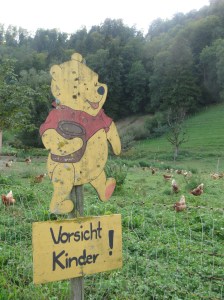 A few steps after the rabbit fence, we saw this. 